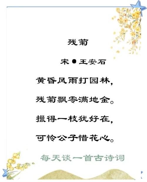 雏菊诗歌，雏菊诗歌缪塞-图3