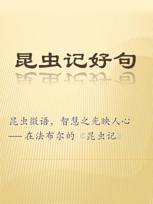 昆虫记的名言，昆虫记的名言警句-图1