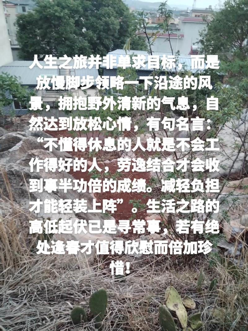 偶然的名言，偶然的名言名句-图2