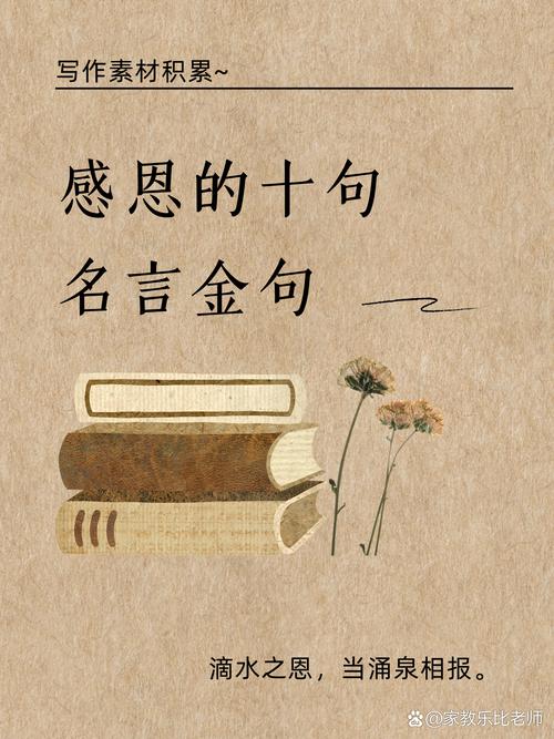 感谢的名言，感谢的名言名句经典摘抄-图1