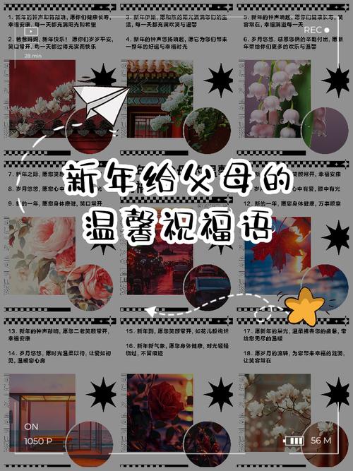 给爸爸的新年祝福名言，给爸爸的新年祝福名言名句-图2