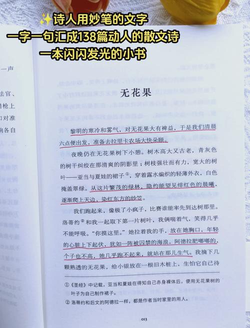 诗歌的回归-图2