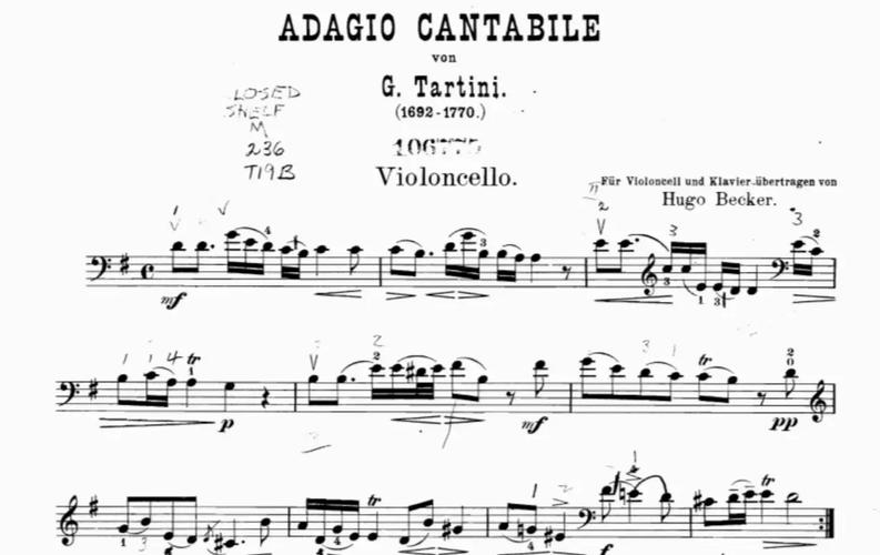 大提琴诗歌,大提琴的诗-图3 大提琴诗歌,大提琴的诗-图3