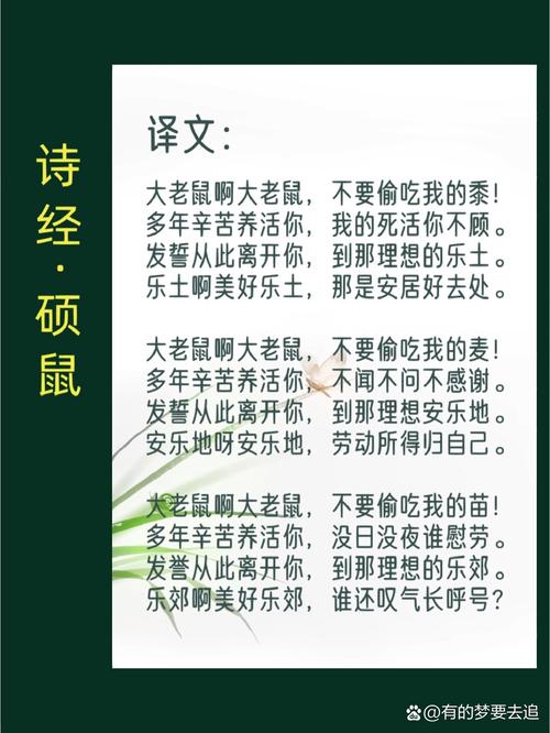 硕鼠诗歌鉴赏，硕鼠这首诗-图3