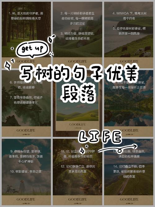 小树长成大树的名言，小树长成大树的名言名句-图1