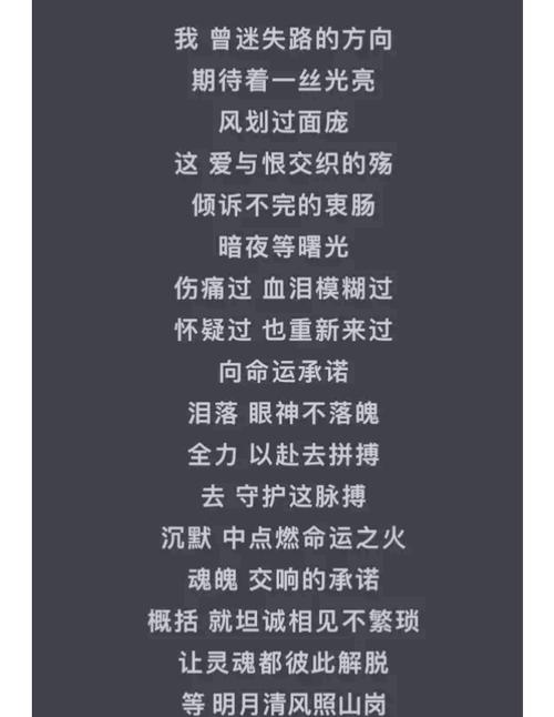 勇往直前诗歌-图2