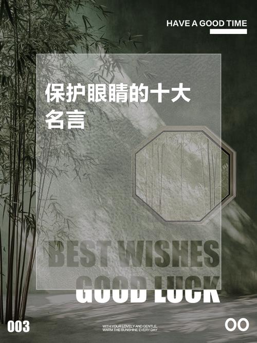 保护眼睛的名人名言，保护眼睛的名人名言有哪些-图1