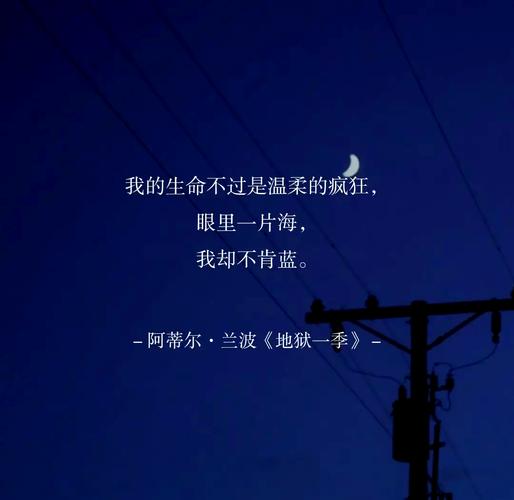 兰波名言,兰波名言名句-图1 兰波名言,兰波名言名句-图1