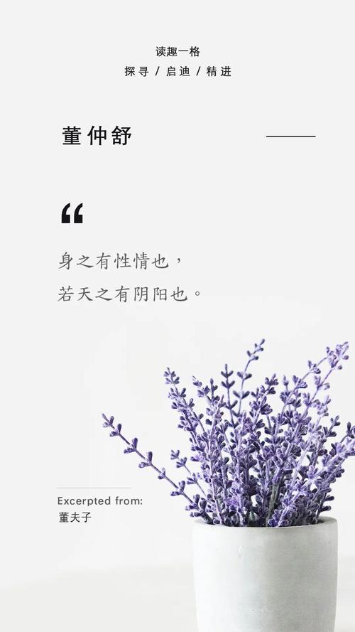 董仲舒名言名句，董仲舒名言名句诗词大全-图3