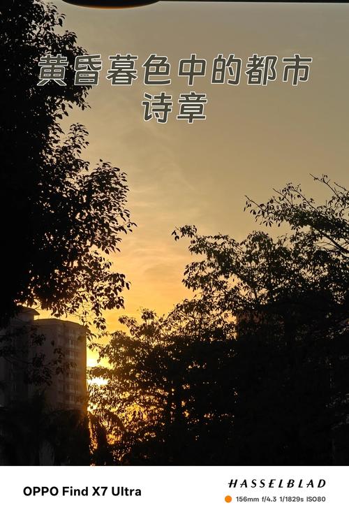 脚步的诗歌，脚步的诗歌背景-图3