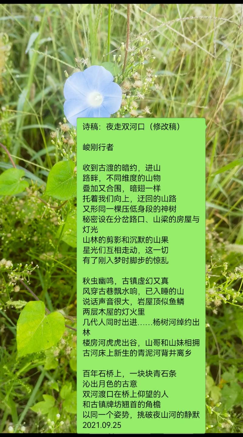 脚步的诗歌，脚步的诗歌背景-图2