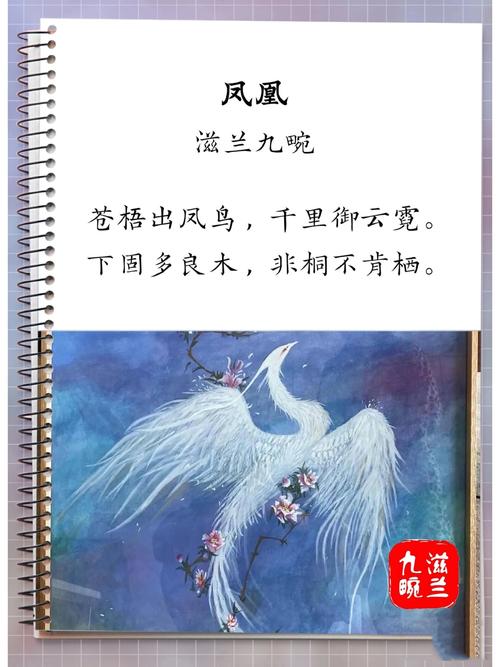 凤凰涅盘诗歌-图1