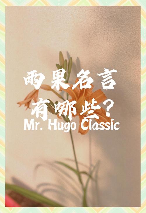 雨果说过的名言-图1