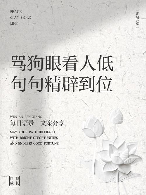 教训人狗眼看人低名言-图1