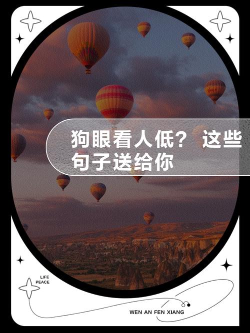 教训人狗眼看人低名言-图2