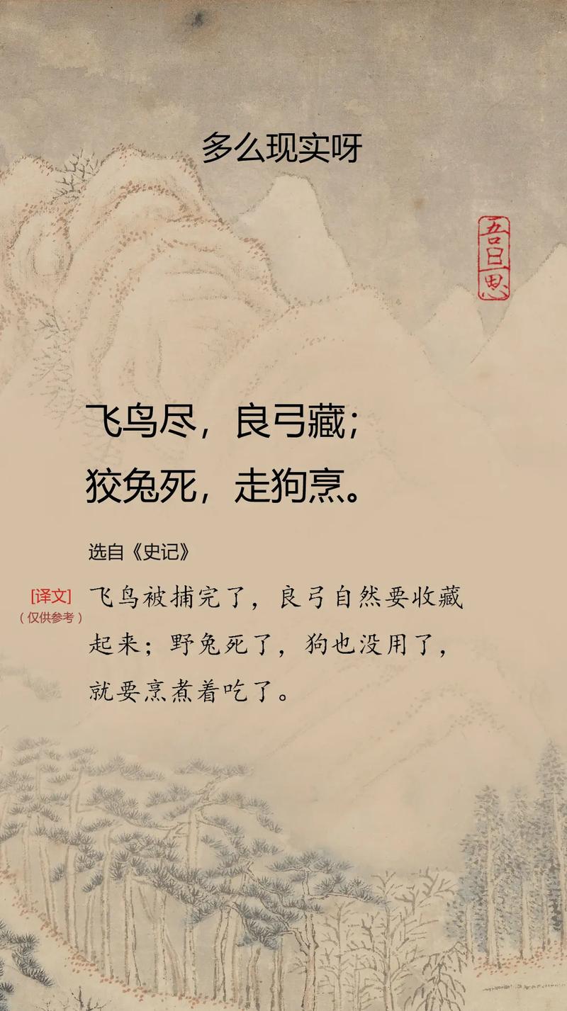 张五飞名言-图1