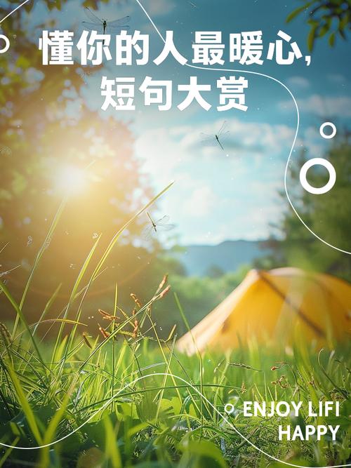 诗歌 懂你，诗歌懂你的人-图2