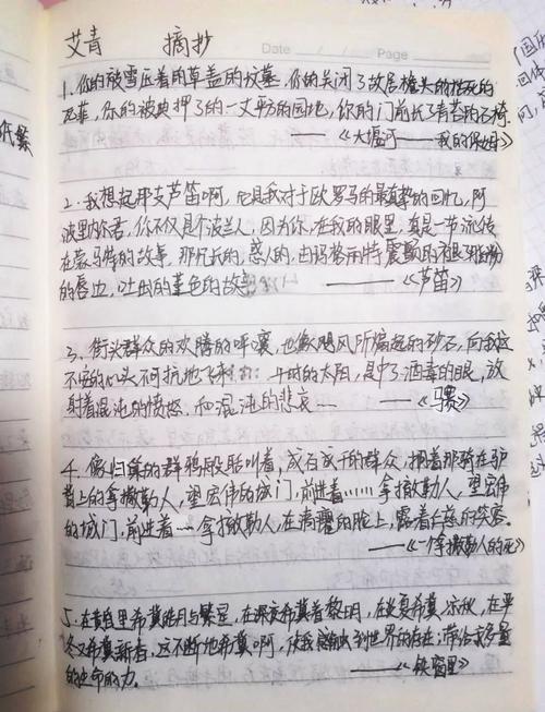 诗歌精选摘抄-图2 诗歌精选摘抄-图2