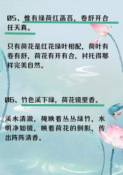 荷花的名言,关于荷花的名言-图2 荷花的名言,关于荷花的名言-图2