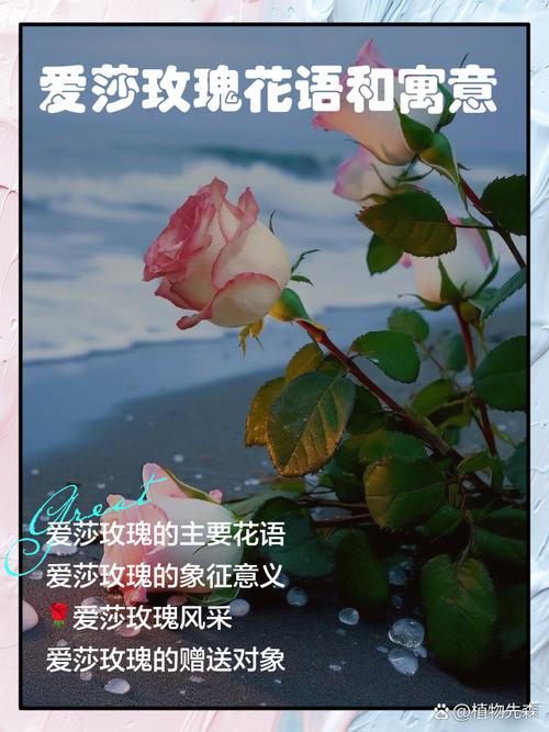花自尊名言，花语是自尊的花-图3