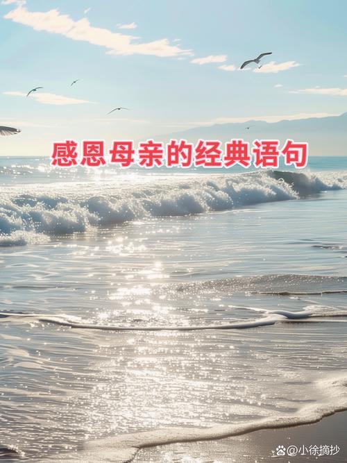 感恩母亲的诗句名言，感恩母亲的诗句名言4句简短-图3