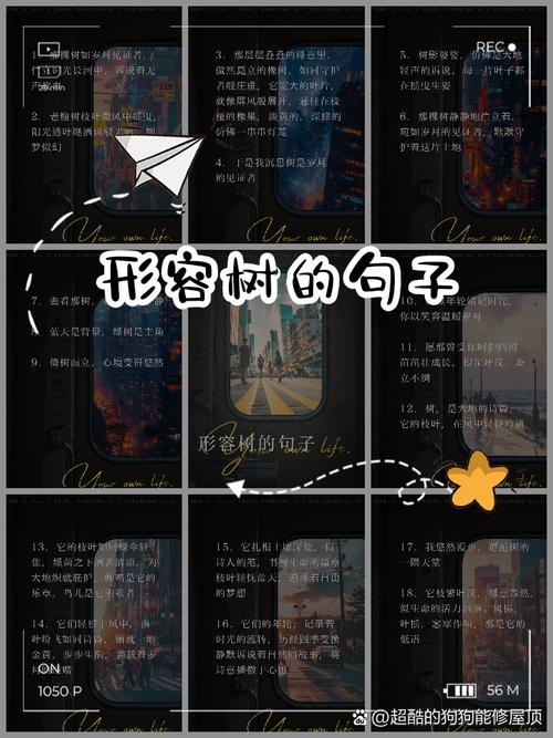 树木的名言，树木的名言二年级-图3