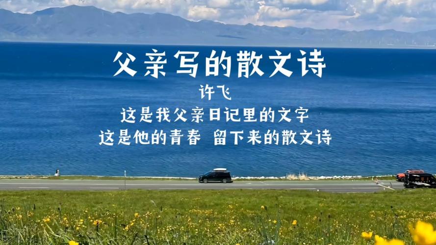 散文诗歌视频，散文诗歌视频素材-图1