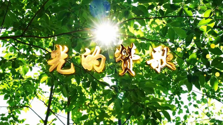 散文诗歌视频，散文诗歌视频素材-图2