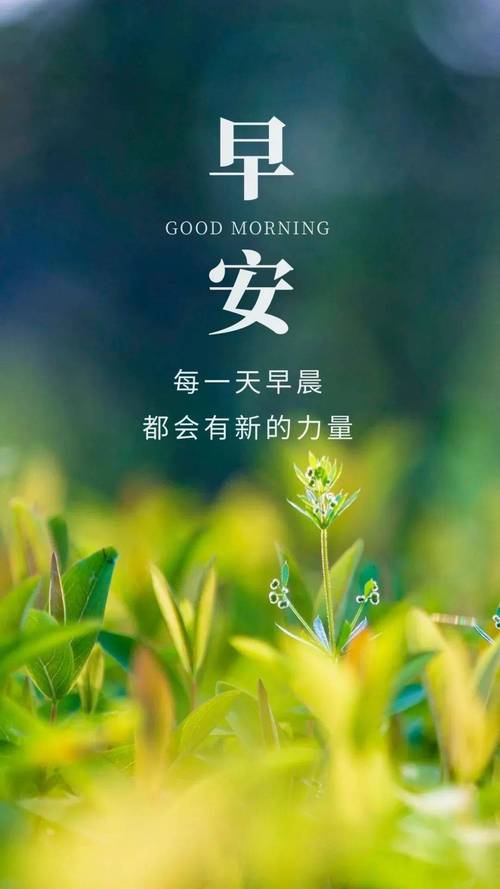 早安励志名言短句霸气，早安励志名言短句霸气图片-图3