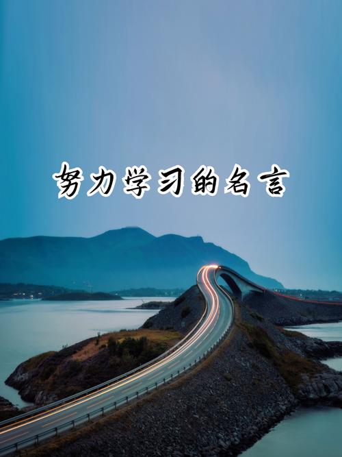 学习习惯名言-图3