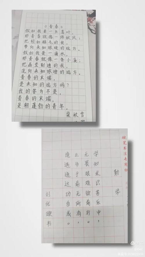 初中生写的诗歌,初中生写的诗歌15行-图2 初中生写的诗歌,初中生写的诗歌15行-图2