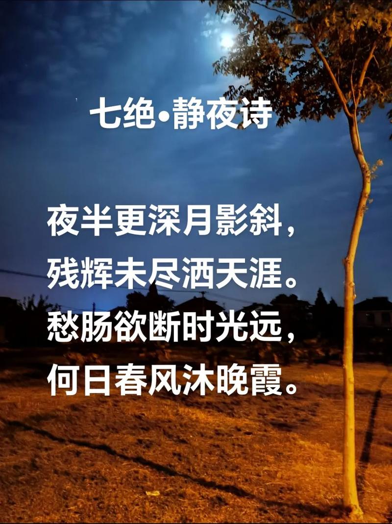 夜幕诗歌藏着怎样的诗意？-图2
