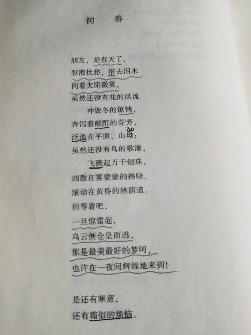 舒婷诗歌的现代性何在？-图1