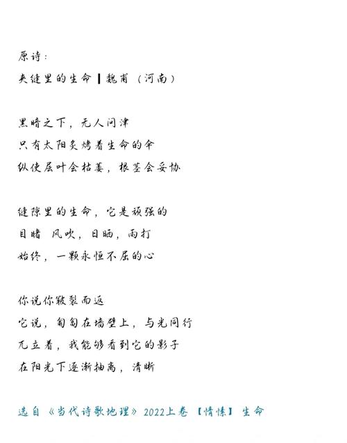 感悟生命诗歌，感悟生命诗歌初中-图3