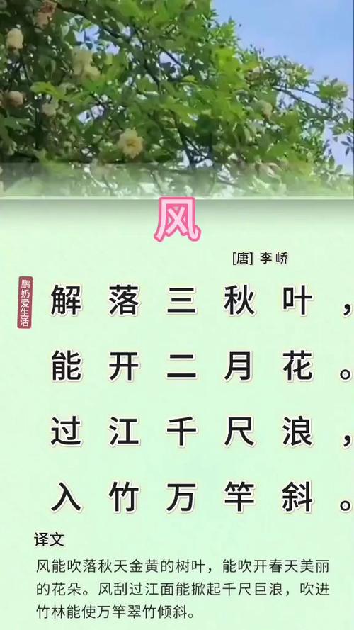 叶圣陶 诗歌，叶圣陶诗歌《风》-图2