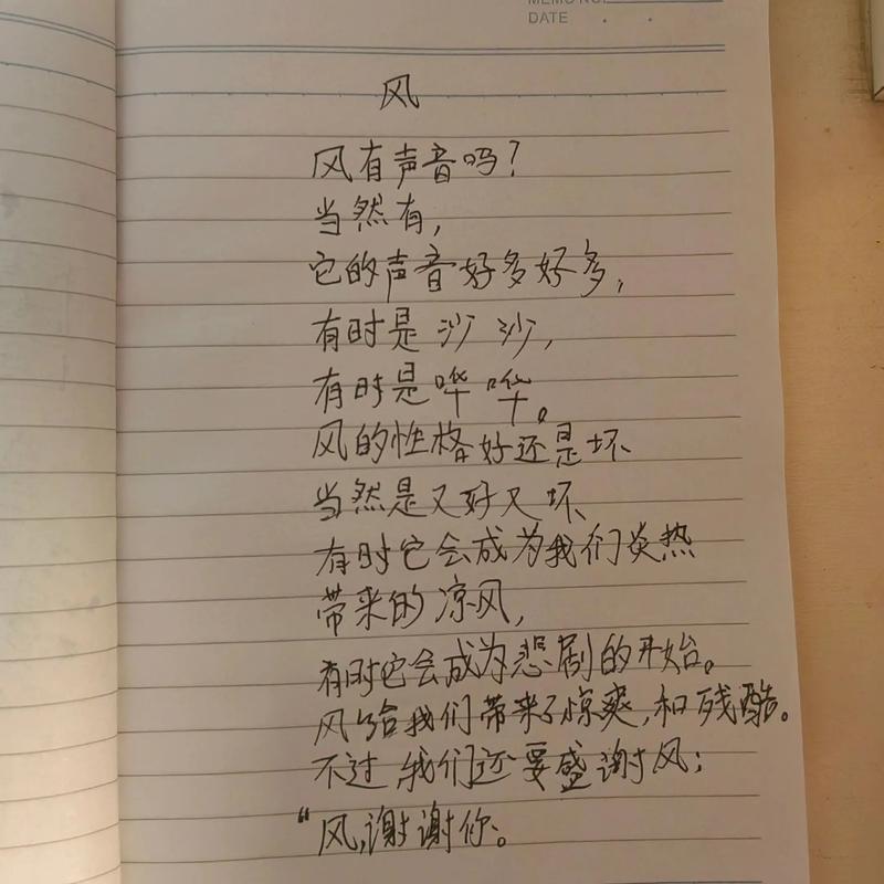 叶圣陶 诗歌，叶圣陶诗歌《风》-图1