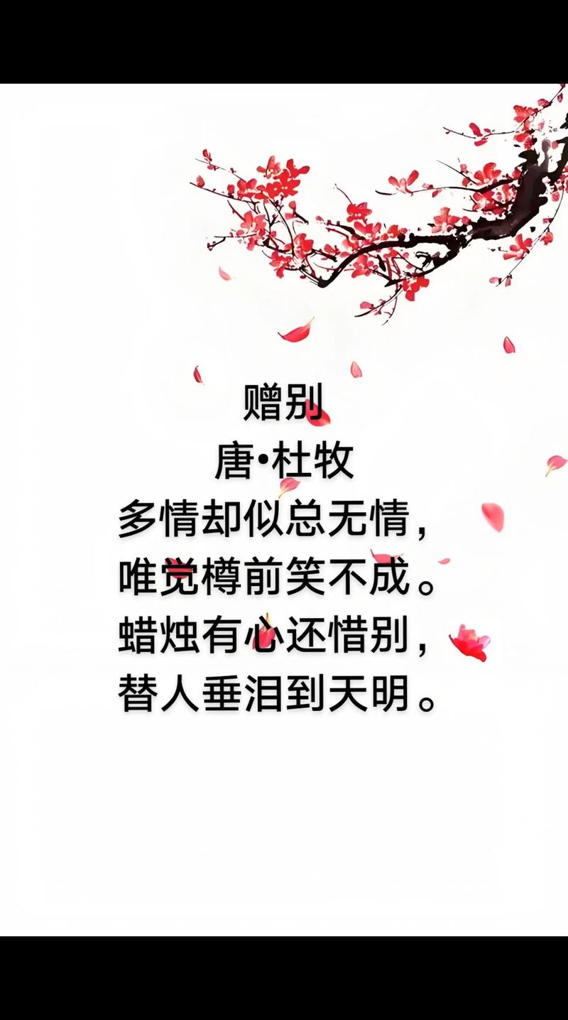 唯美伤感的诗歌，唯美伤感的诗歌短句-图3