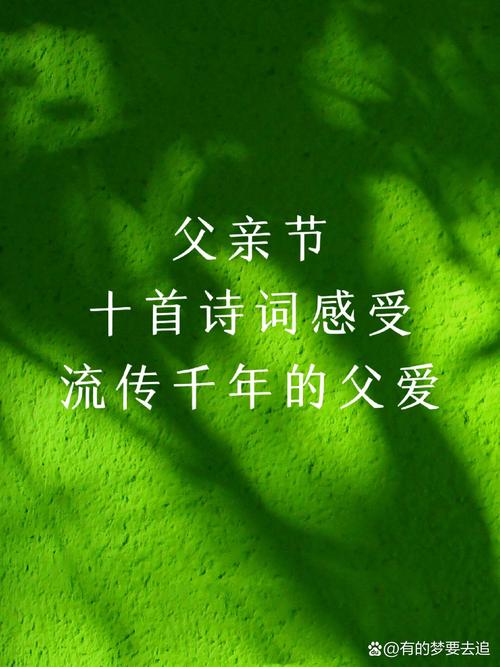 父亲，诗里藏着什么深情？-图3