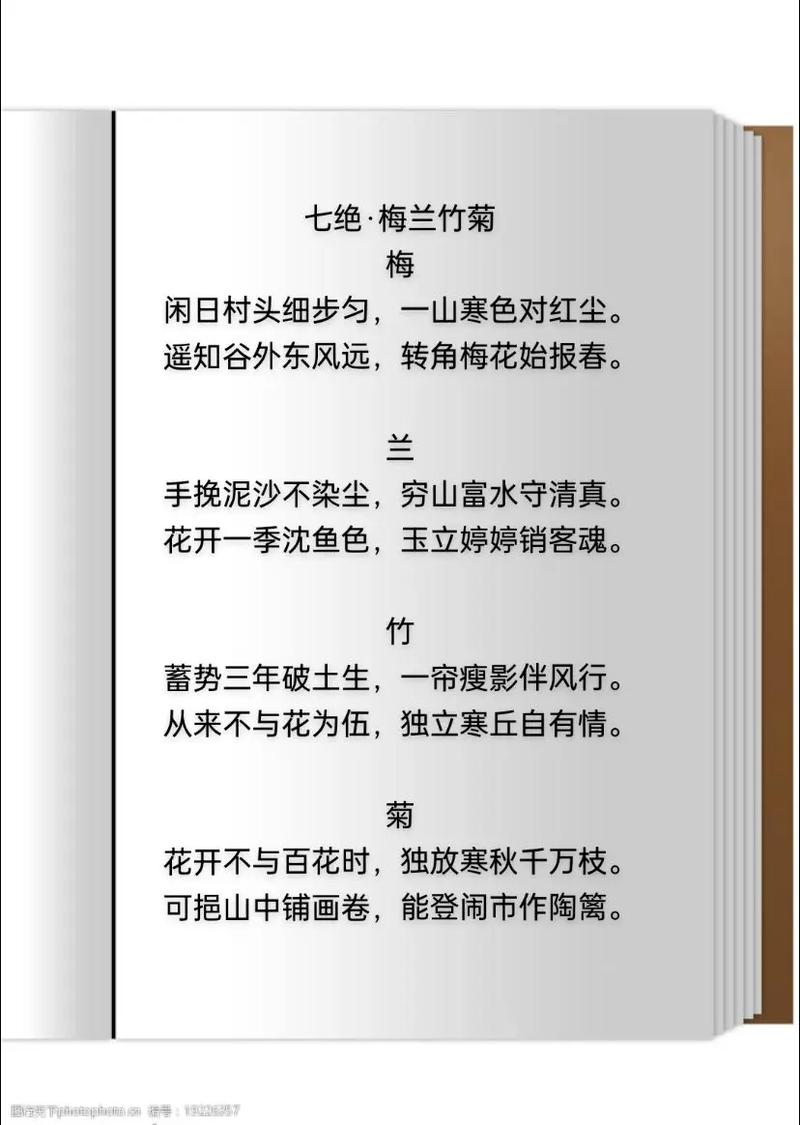 诗歌 君子，诗歌君子兰对什么-图3