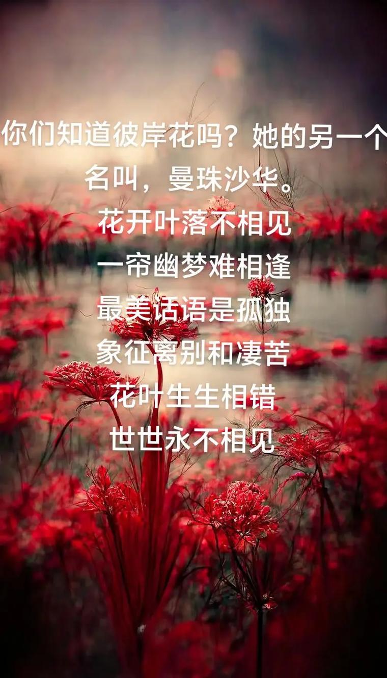 彼岸，是诗歌的远方吗？-图2