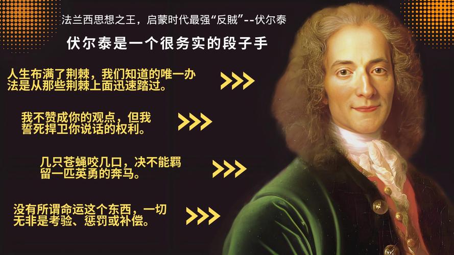 泰名言，伏尔泰名言-图3