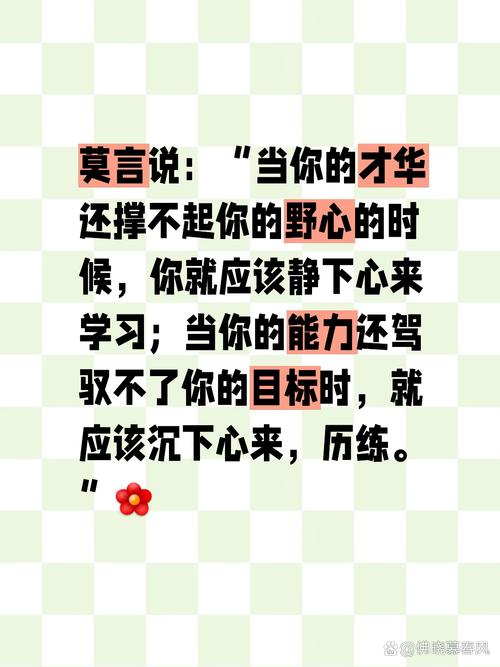 能力的重要性名言，能力很重要的名言-图2