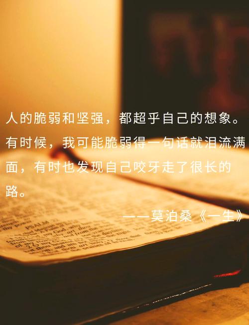 表示坚强的名言-图2