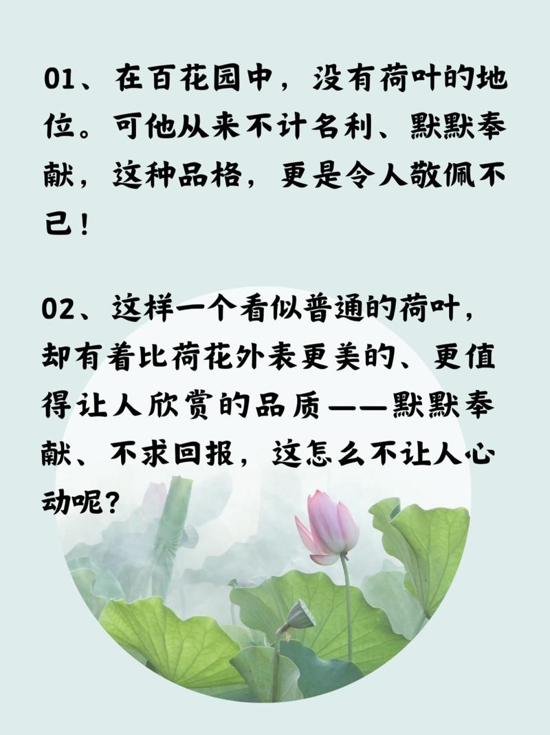 荷叶名言，荷叶的名言名句-图1