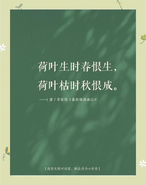 荷叶名言，荷叶的名言名句-图2