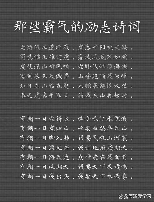 励志的小诗歌，励志的小诗歌短篇-图3