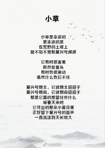 《小草》诗歌，小草诗歌《生命中有你》-图1