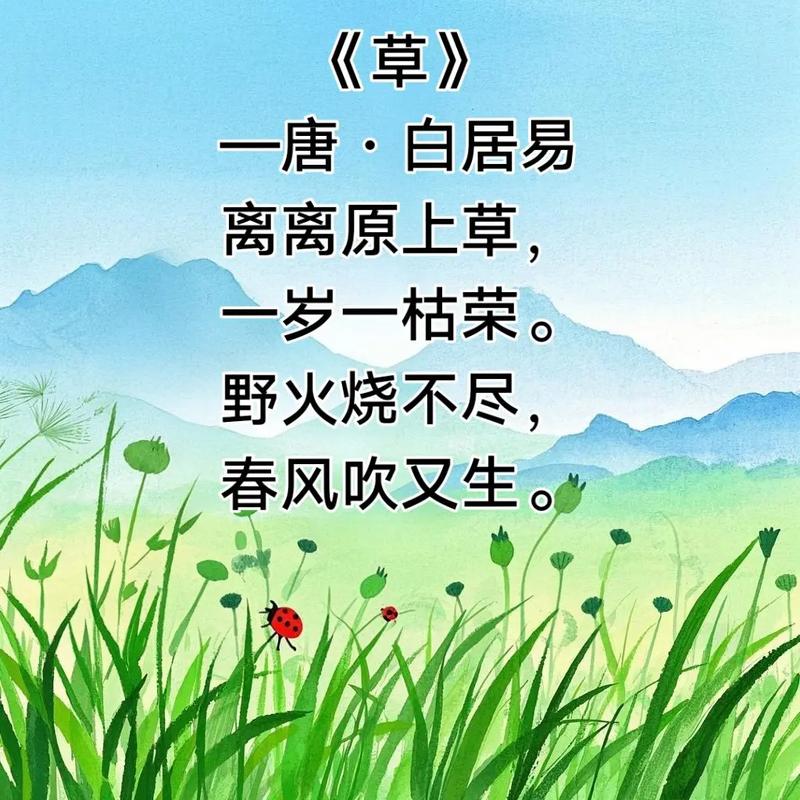 《小草》诗歌，小草诗歌《生命中有你》-图2