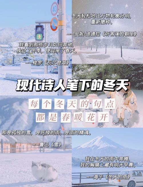 冬天来了诗歌，冬天来了诗歌朗诵词-图2