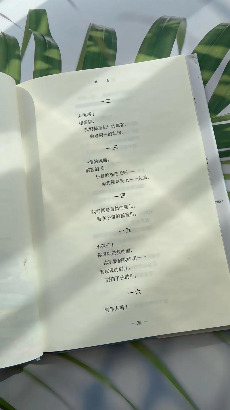 致奶奶诗歌，写给奶奶的诗歌-图1